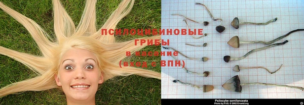 винт Арсеньев