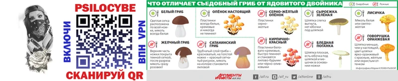 Галлюциногенные грибы Psilocybe  Кашира 